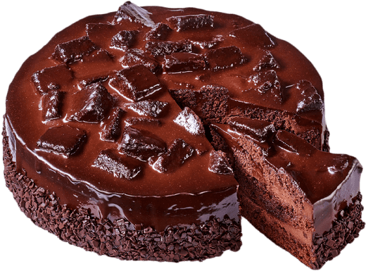 Chocolate Fudge Premium